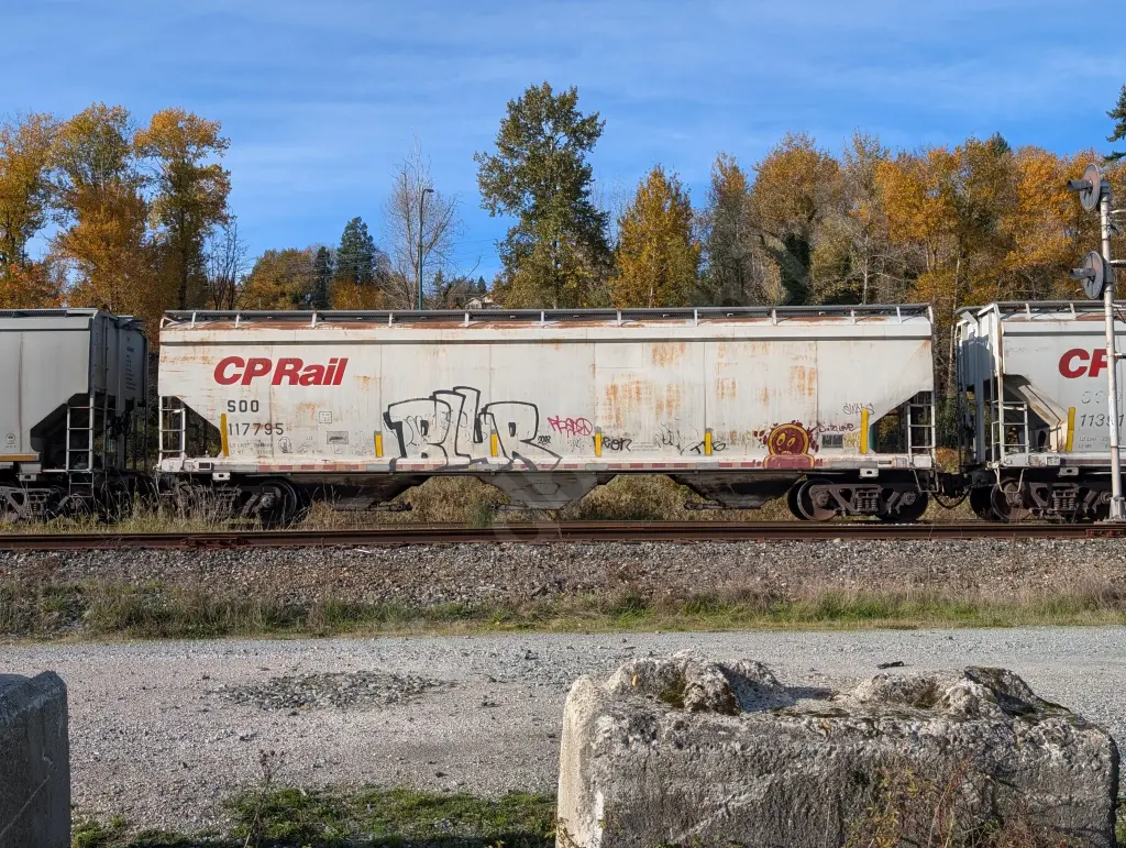 SOO117795 - NORTH-AMERICA