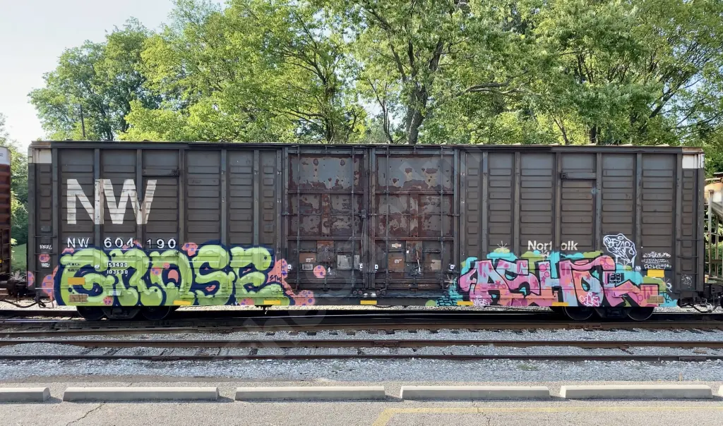 NW604190 - NORTH-AMERICA