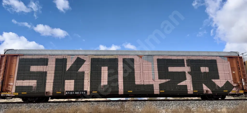 BNSF302396 - NORTH-AMERICA
