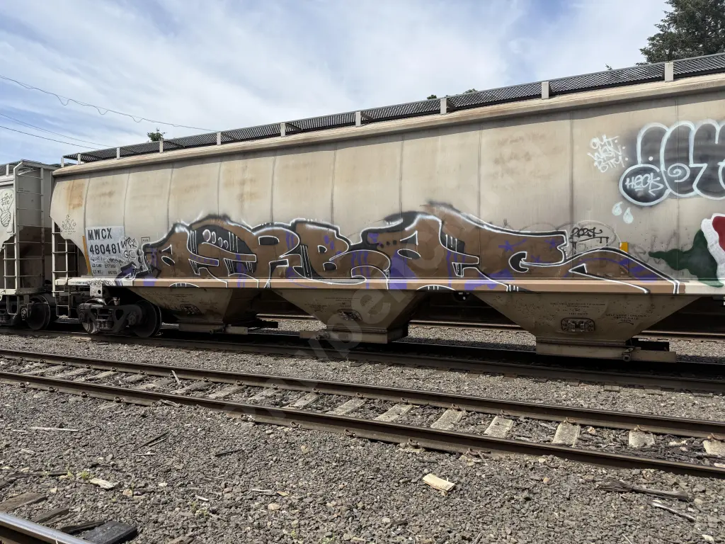 MWCX480481 - NORTH-AMERICA