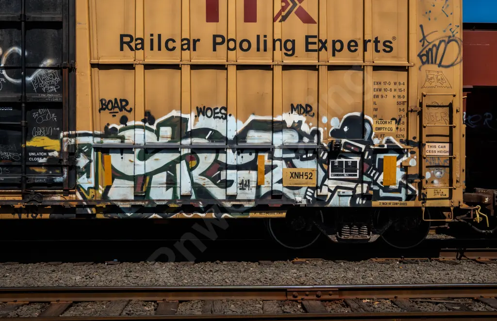 FBOX505996 - NORTH-AMERICA