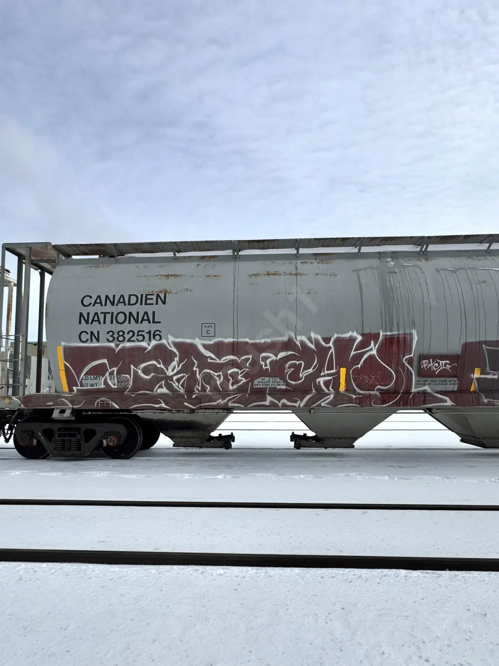 CN382516 - NORTH-AMERICA