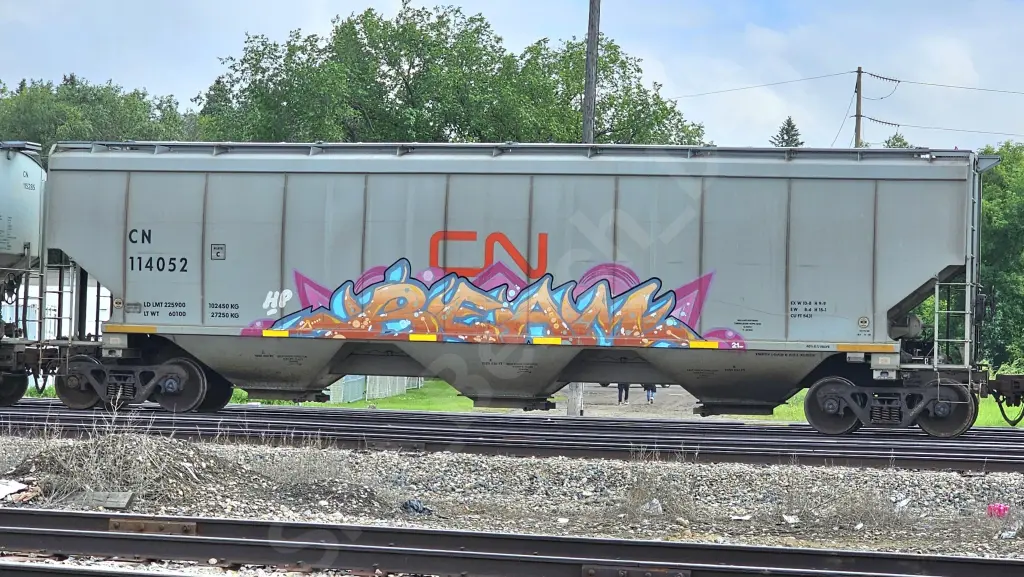 CN114052 - NORTH-AMERICA