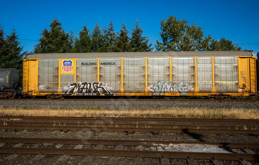 TTGX861910 - NORTH-AMERICA