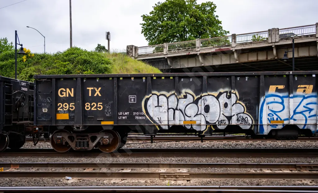 GNTX295825 - NORTH-AMERICA