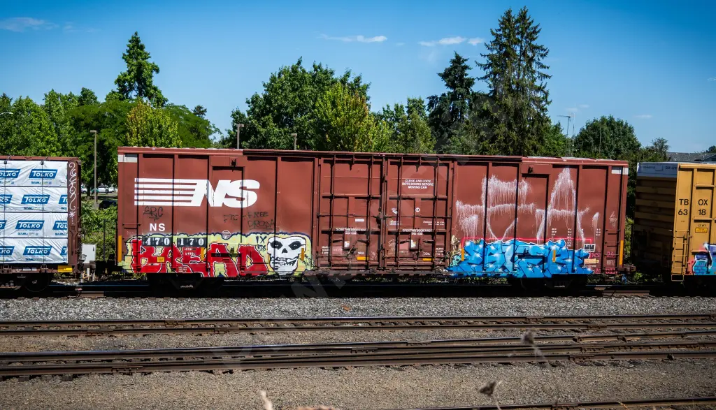 NS470170 - NORTH-AMERICA