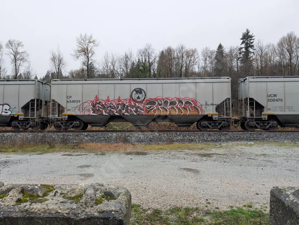 CP654929 - NORTH-AMERICA