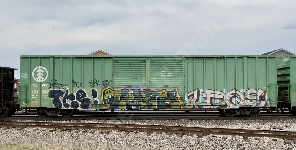 CIBX151067 - NORTH-AMERICA