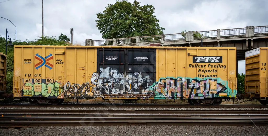 TBOX660080 - NORTH-AMERICA