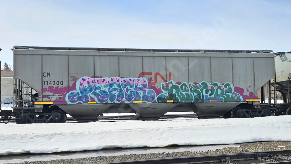 CN114200 - NORTH-AMERICA