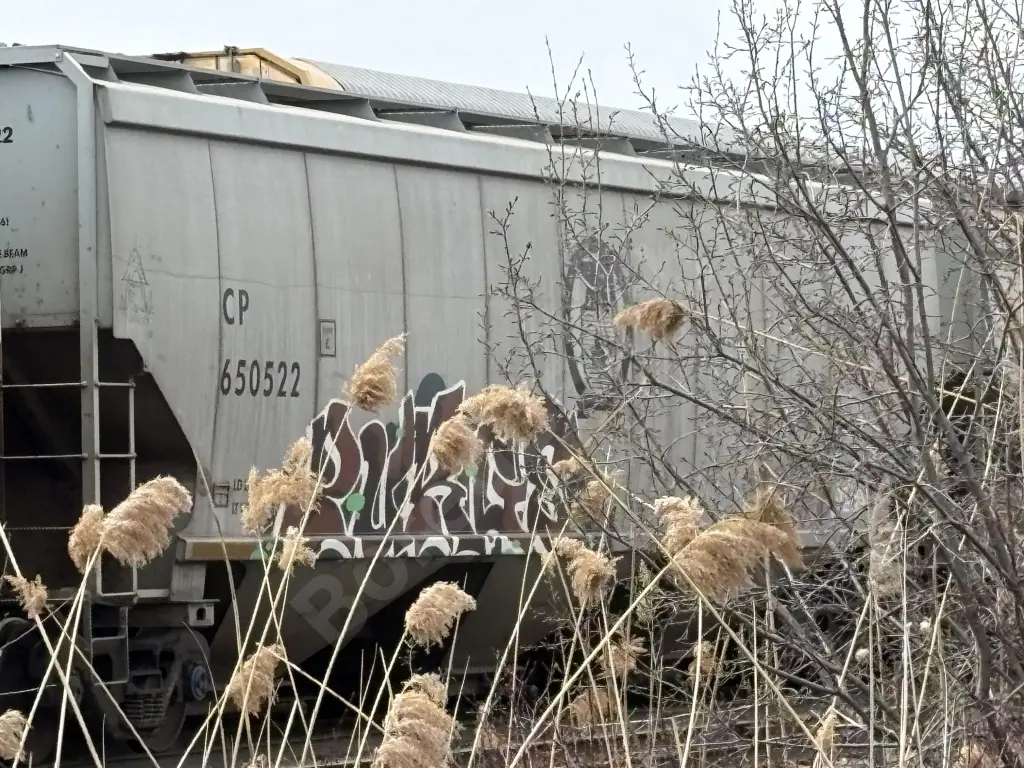 CP650522 - NORTH-AMERICA