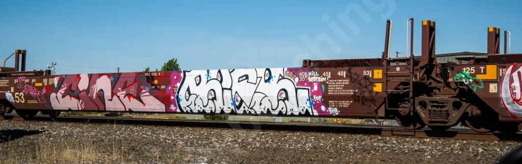SFLC6333 - NORTH-AMERICA