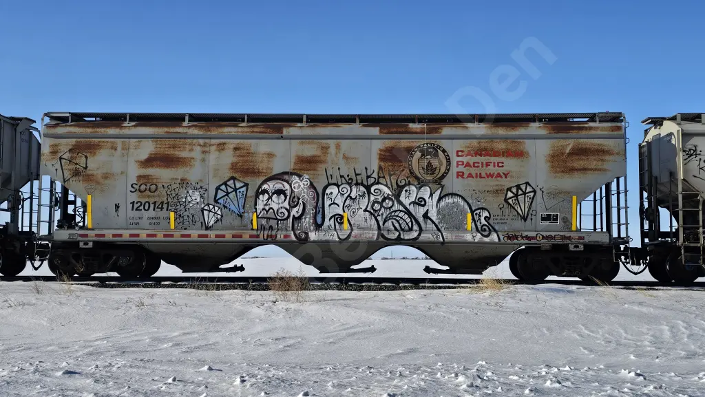 SOO120141 - NORTH-AMERICA