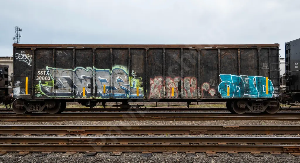 SSTX30003 - NORTH-AMERICA