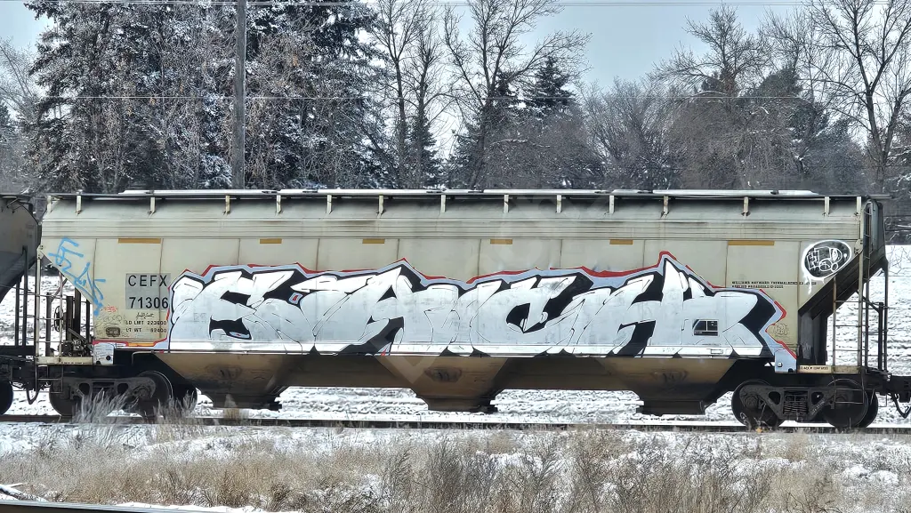 CEFX71306 - NORTH-AMERICA