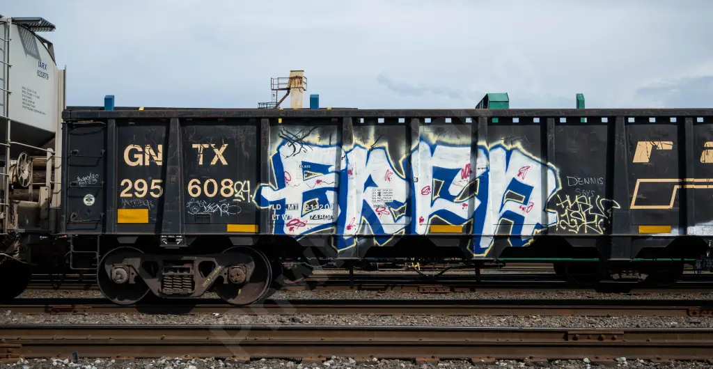 GNTX295608 - NORTH-AMERICA