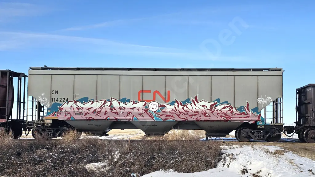 CN114224 - NORTH-AMERICA