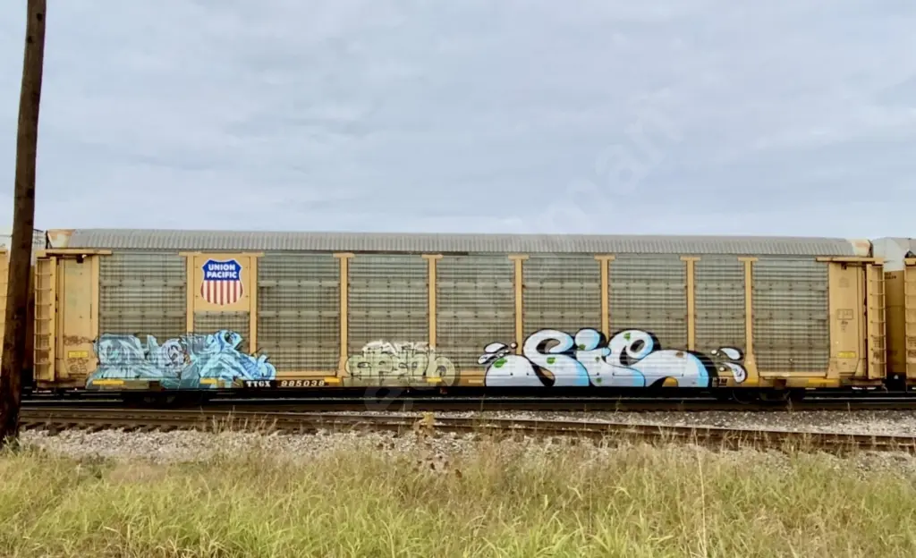 TTGX985038 - NORTH-AMERICA