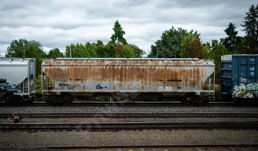 KLRX49066 - NORTH-AMERICA