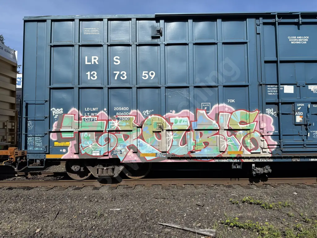 LRS137359 - NORTH-AMERICA