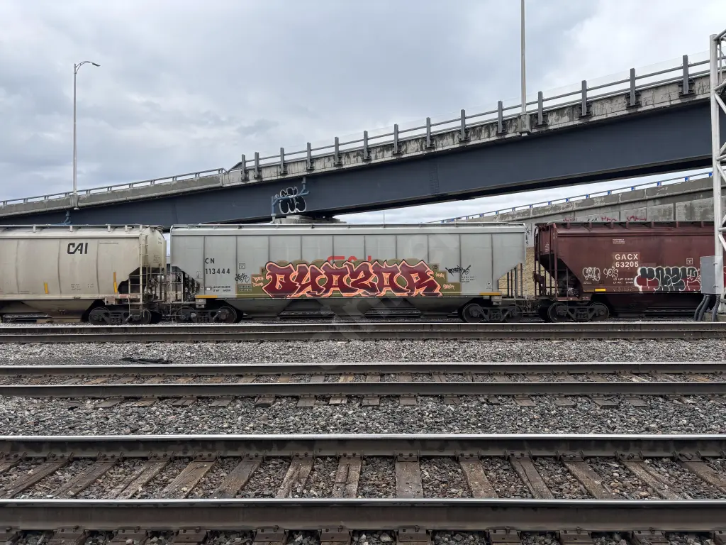 CN113444 - NORTH-AMERICA