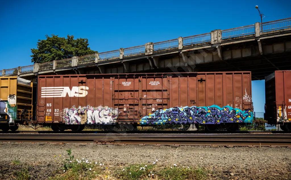 NS46922 - NORTH-AMERICA