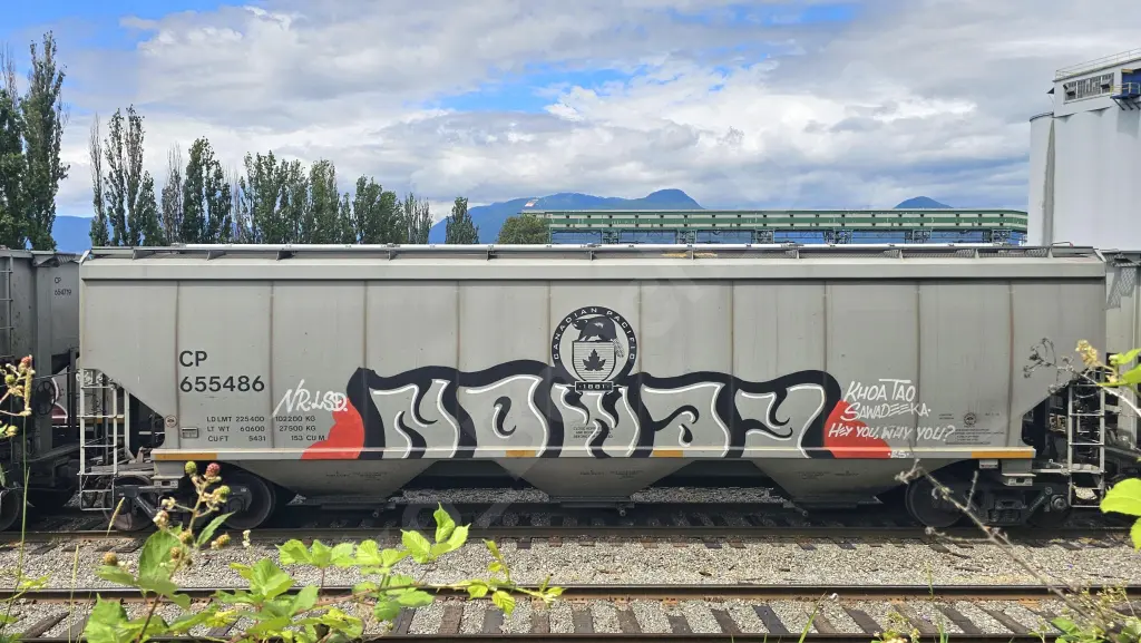 CP655486 - NORTH-AMERICA