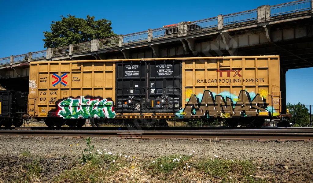 TBOX639515 - NORTH-AMERICA