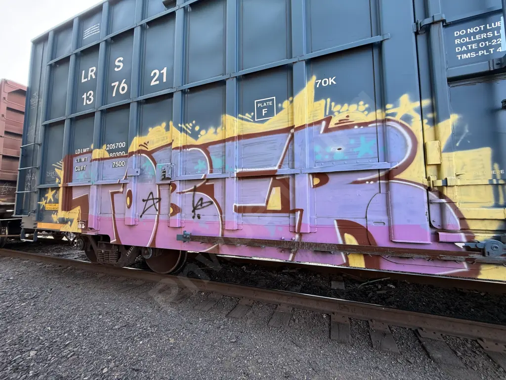 LRS137621 - NORTH-AMERICA