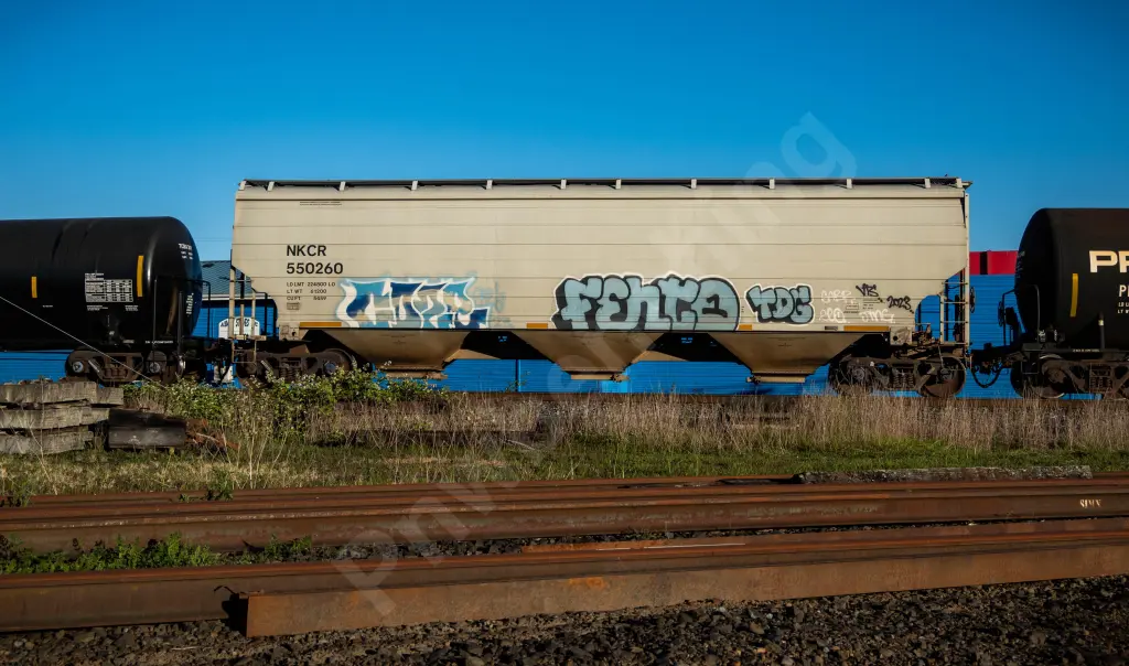 NKCR550260 - NORTH-AMERICA