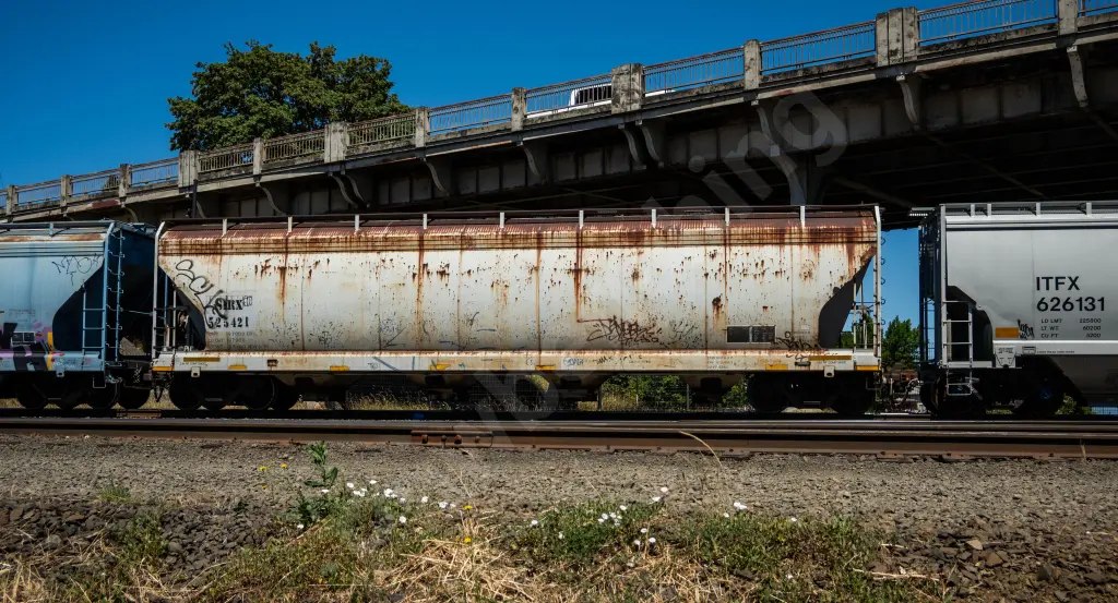 SIRX525421 - NORTH-AMERICA