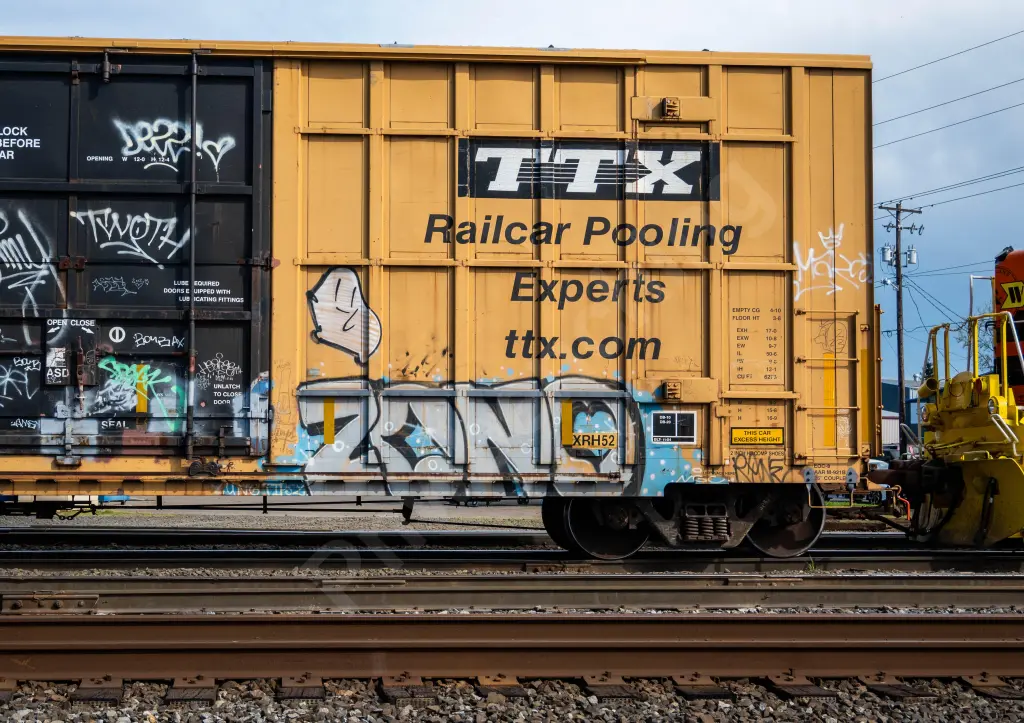 FBOX505354 - NORTH-AMERICA