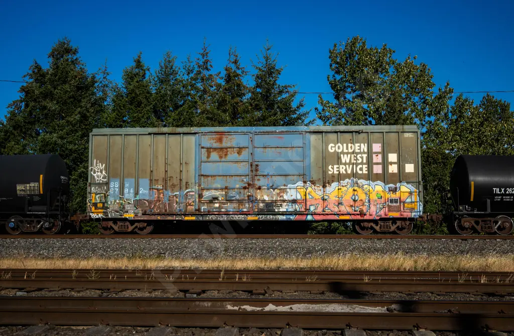 SSW67842 - NORTH-AMERICA