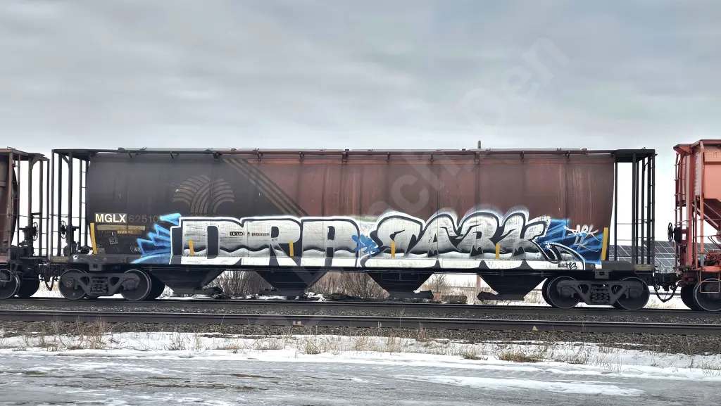 MGLX625102 - NORTH-AMERICA
