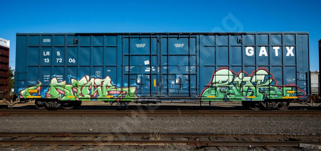 LRS137206 - NORTH-AMERICA