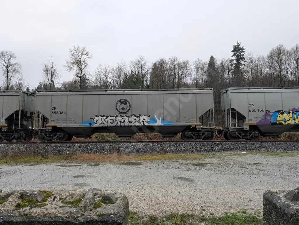 CP655064 - NORTH-AMERICA