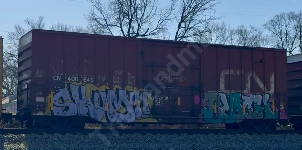 CN406645 - NORTH-AMERICA