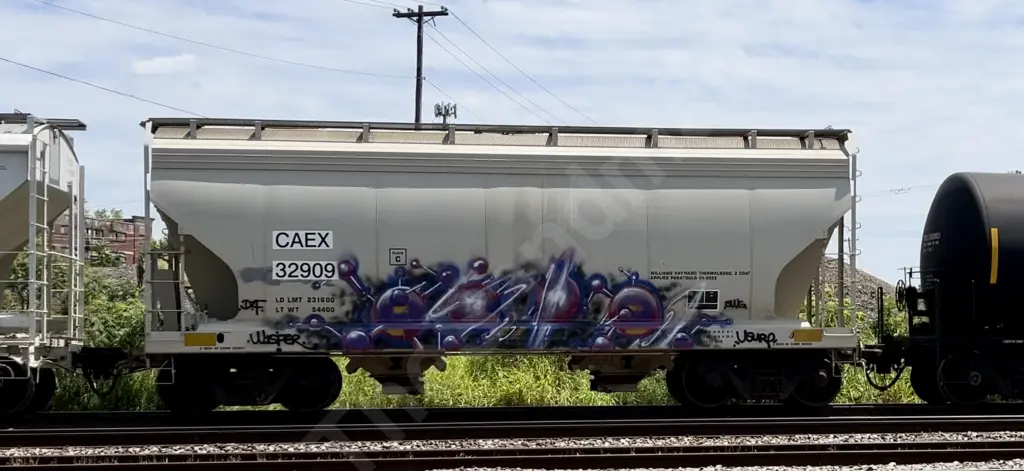 CAEX32909 - NORTH-AMERICA