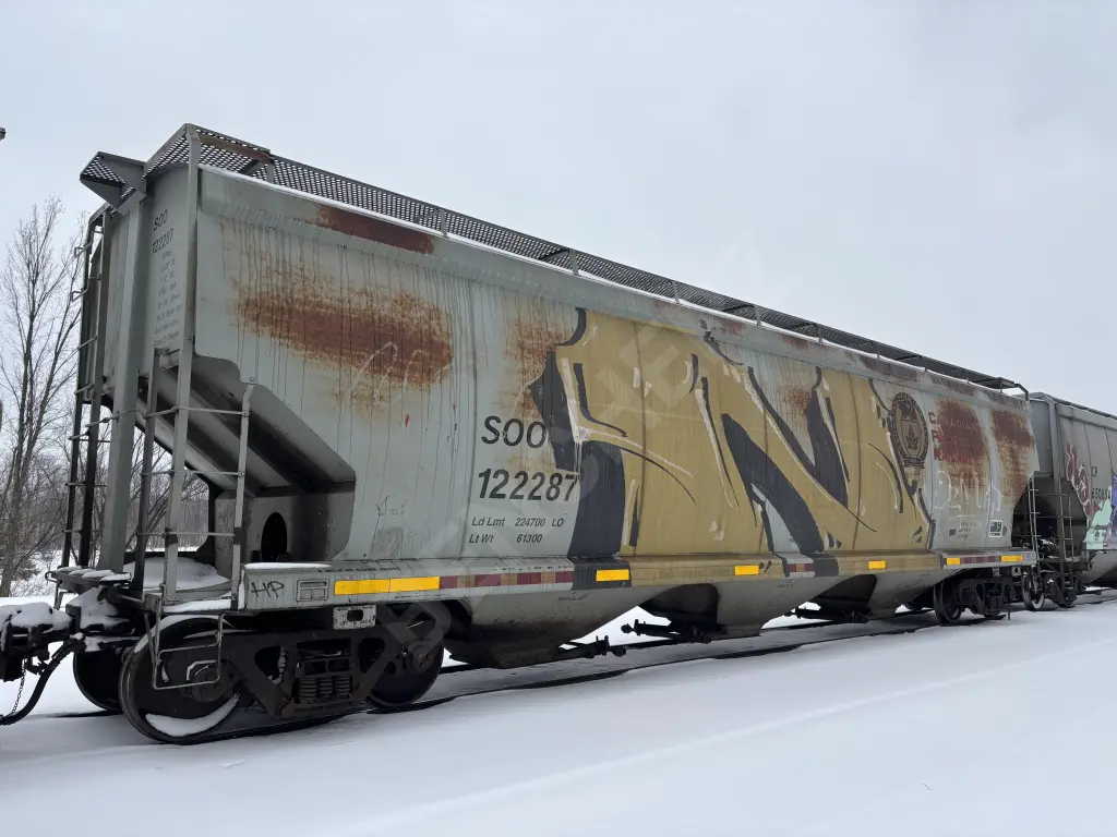SOO122287 - NORTH-AMERICA
