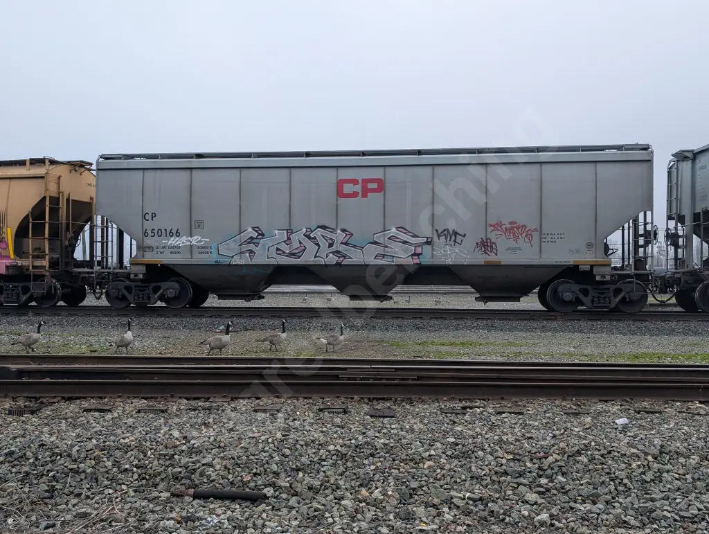 CP650166 - NORTH-AMERICA