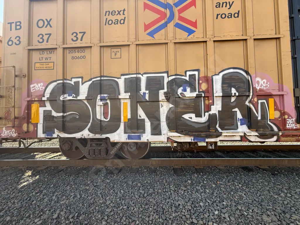 TBOX633737 - NORTH-AMERICA
