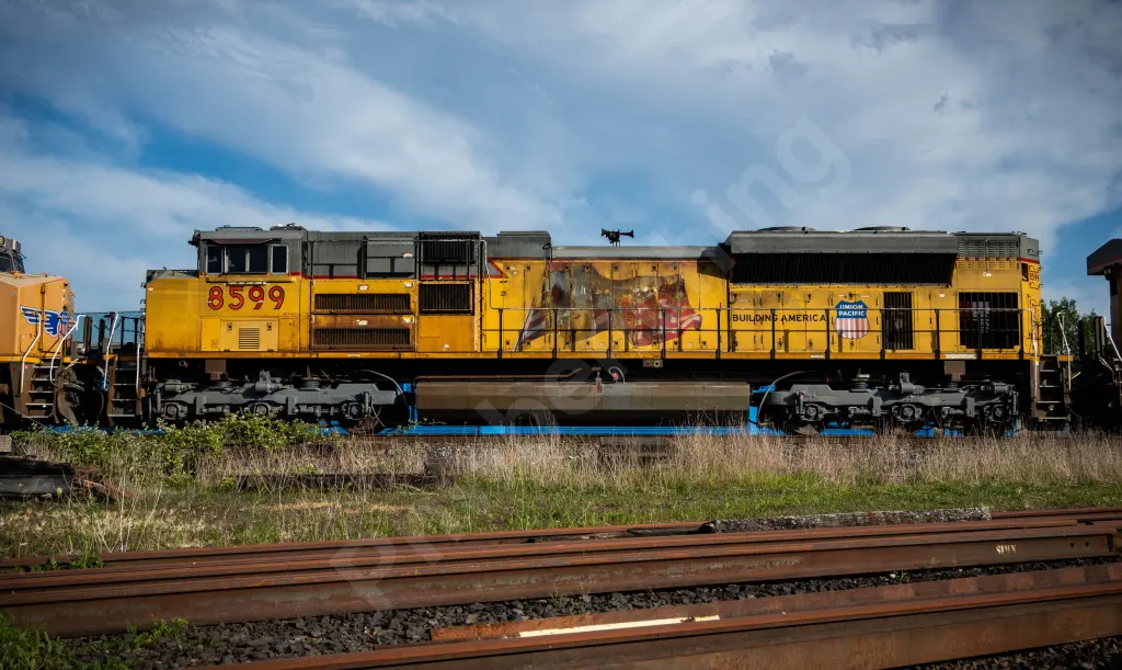 UP8599 - NORTH-AMERICA