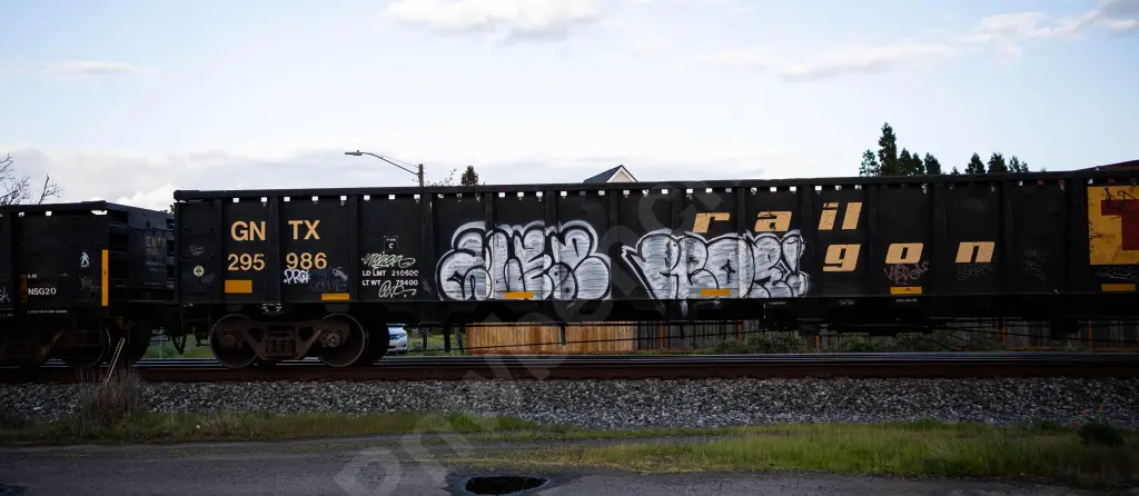GNTX295986 - NORTH-AMERICA