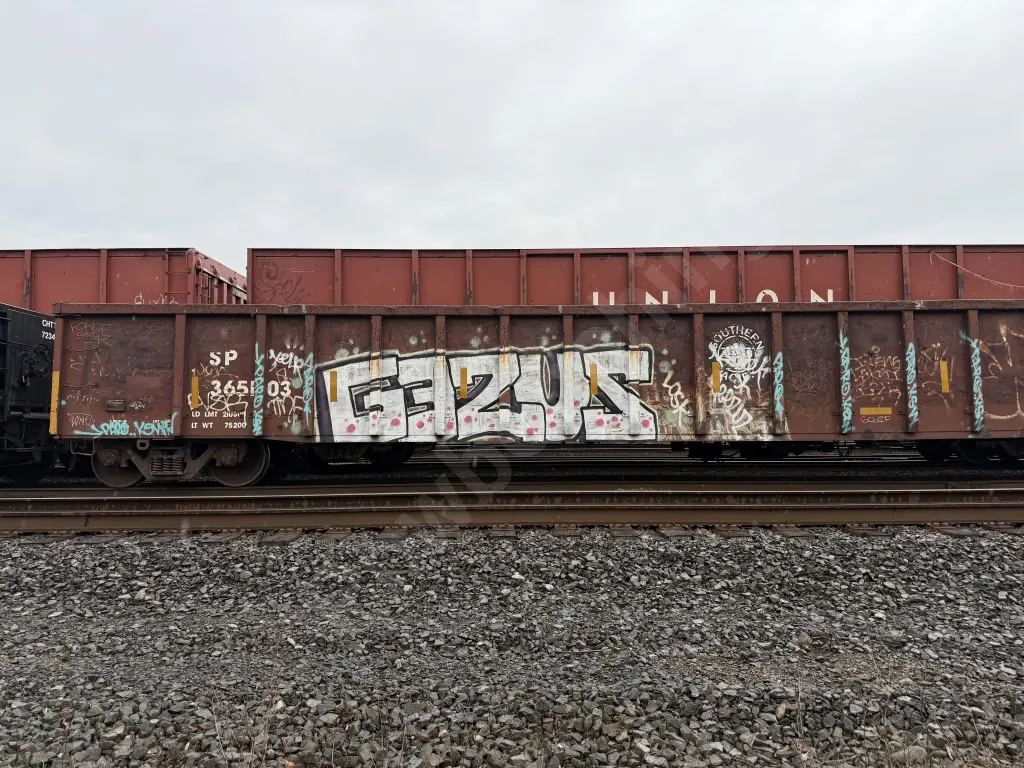 SP365103 - NORTH-AMERICA
