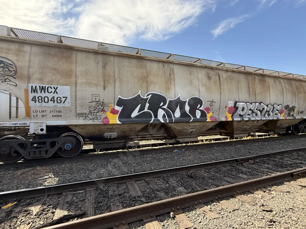 MWCX480467 - NORTH-AMERICA