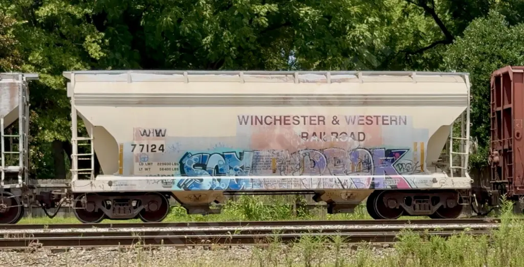 WW77124 - NORTH-AMERICA