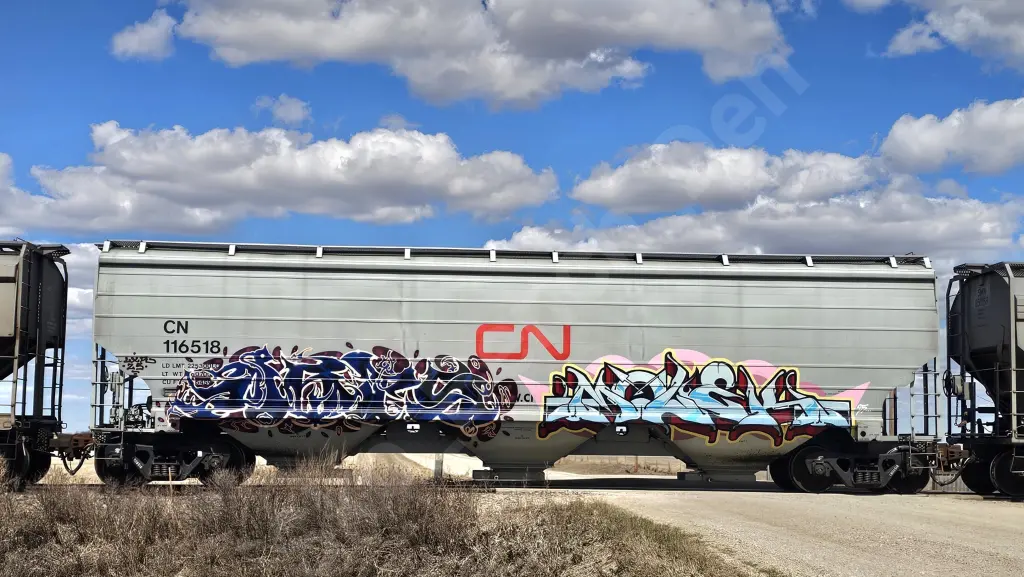 CN116518 - NORTH-AMERICA