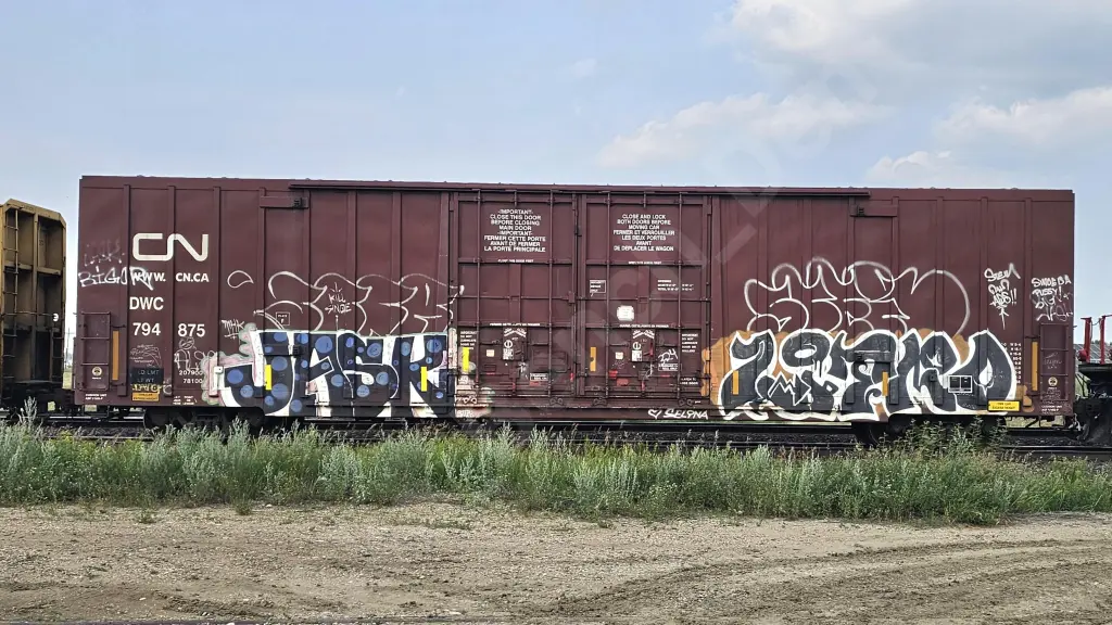 DWC794875 - NORTH-AMERICA