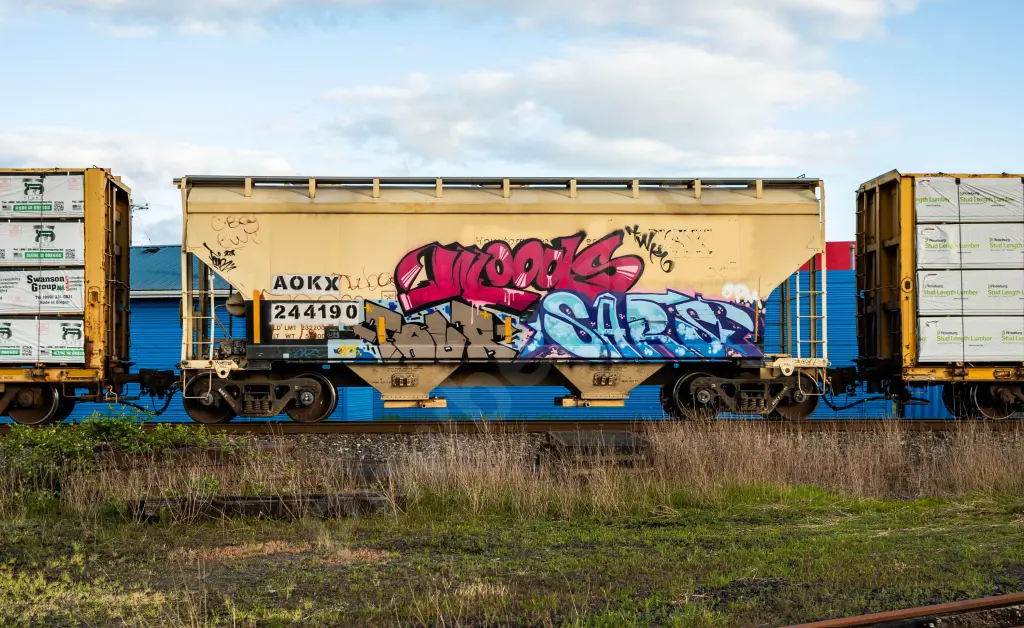 AOKX244190 - NORTH-AMERICA