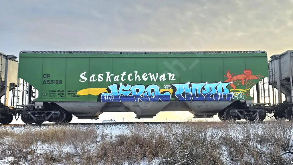 CP655123 - NORTH-AMERICA